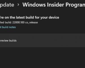 Impossible d’installer la beta de Windows 11 ? Voici comment faire !