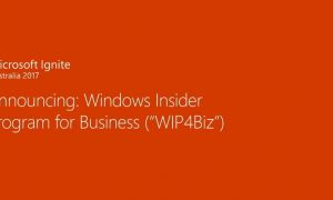 WIP4Biz : Windows Insider se décline dans une formule pour les entreprises
