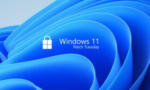 KB5017328 : la mise à jour de septembre est disponible pour Windows 11