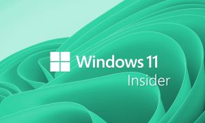 Nouvelles mises à jour pour les Insiders Windows 11