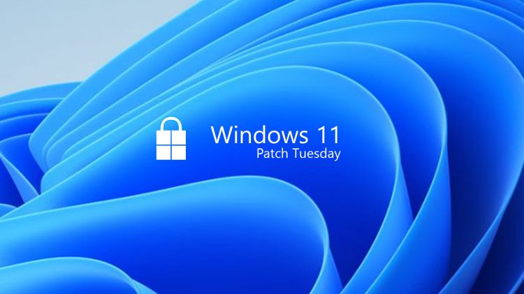 KB5022303 : le Patch Tuesday de janvier 2023 est disponible sur Windows 11