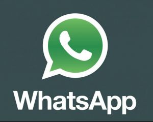 WhatsApp : quelques modifications sur l'application bêta mise à jour