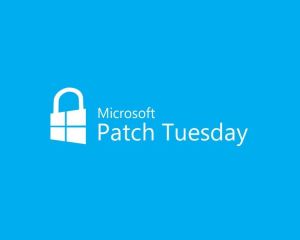 Le patch Tuesday de novembre est disponible sur Windows 10 et Mobile