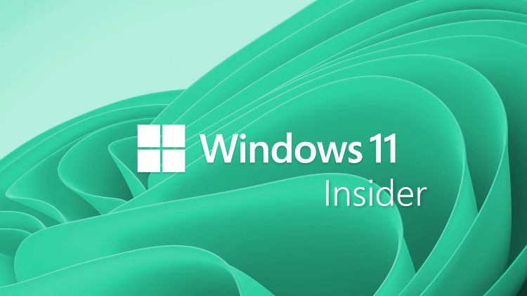 Windows 11 : la build 25193 débarque pour les Insiders dans le canal Dev