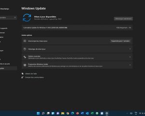 Windows 11 : une nouvelle mise à jour débarque pour les Insiders
