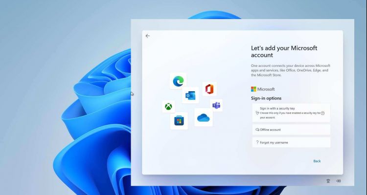 Windows 11 Pro : un compte Microsoft sera bientôt obligatoire