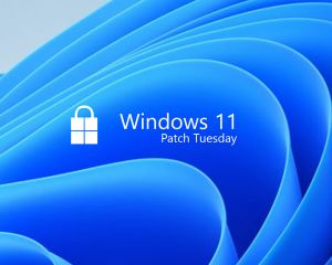 KB5009566 : la première mise à jour de 2022 est disponible sur Windows 11