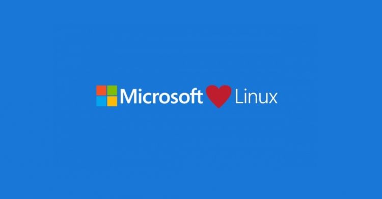 Microsoft n'aurait pas du rejeter l'open source et Linux dans le passé