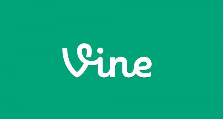 Le réseau Vine se décline également en version universelle pour Windows 10