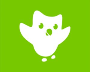 Duolingo débarque sur Windows Phone 8.1