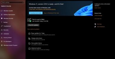 Windows 11, version 22H2, est proposé sur des PC incompatibles sous Windows 10