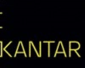 Kantar : une légère régression généralisée pour Windows Phone