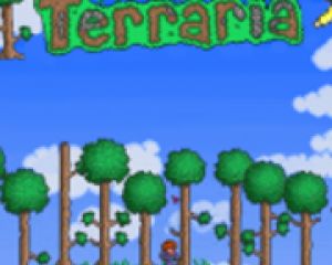 Terraria est prévu sur Windows Phone pour bientôt