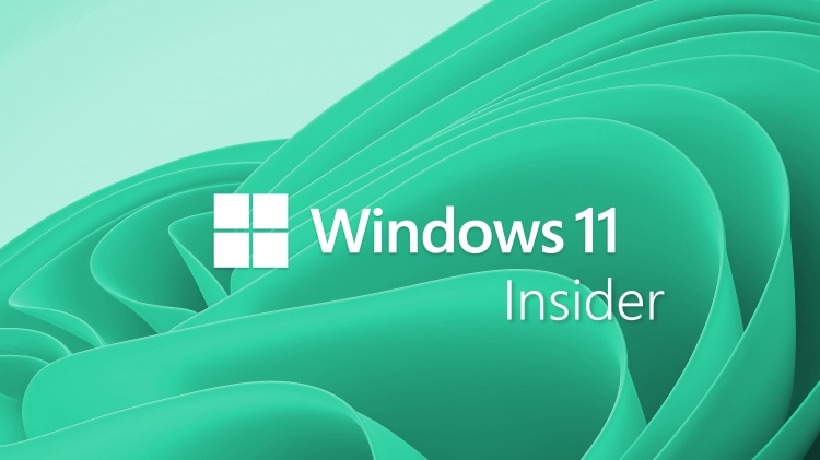windows-11-insider